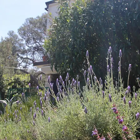 Lägenhet Cappelli - Losinj