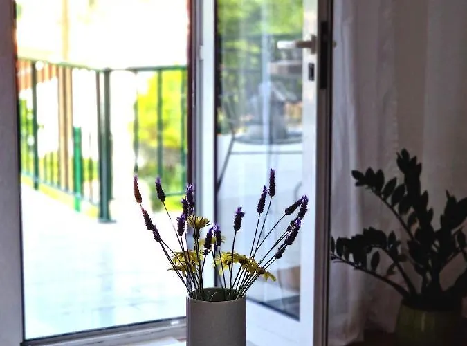 公寓 Cappelli - Losinj 木洛希尼