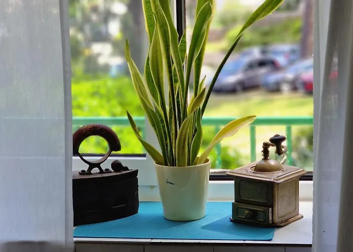 公寓 Cappelli - Losinj 木洛希尼