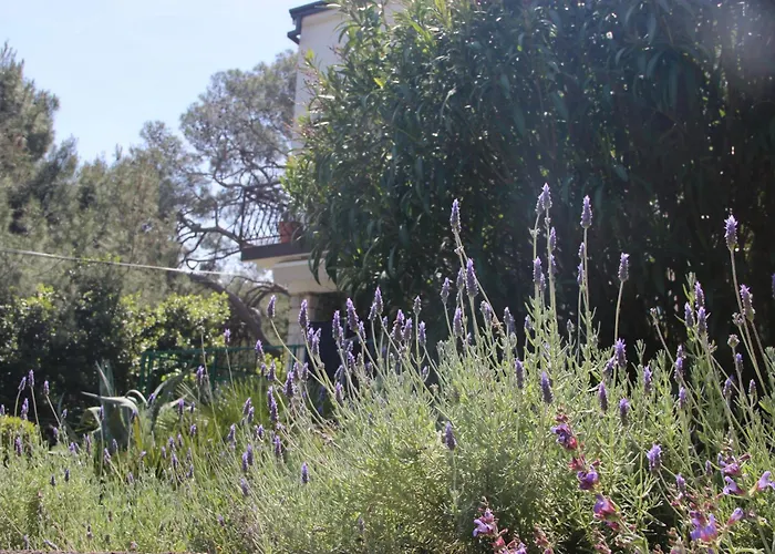 公寓 Cappelli - Losinj